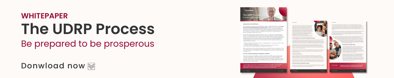 The UDRP Process banner v1